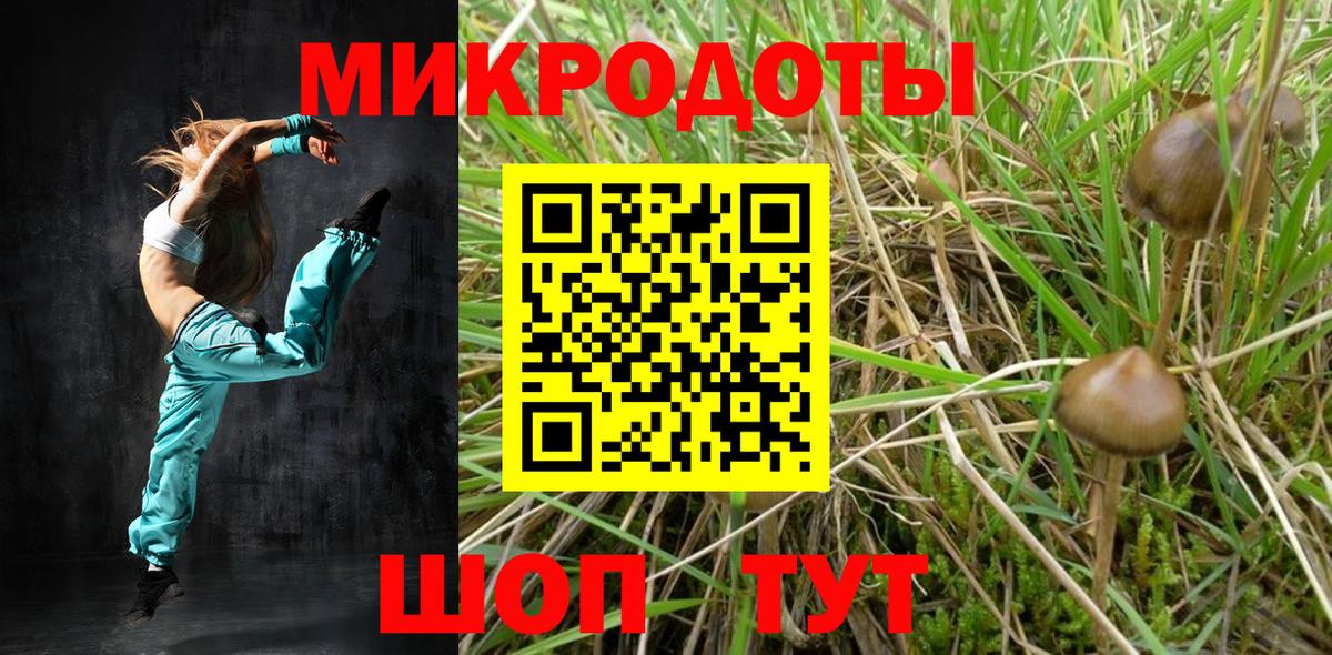 Ногинск  дарнет шоп  Вход с VPN  Псилоцибиновые грибы GOLDEN TEACHER  Галлюциногенные грибы Cubensis 